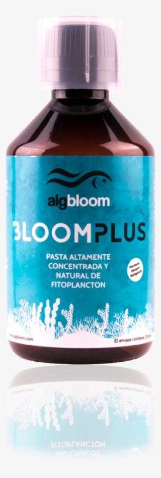 Phytoplankton Concentrated