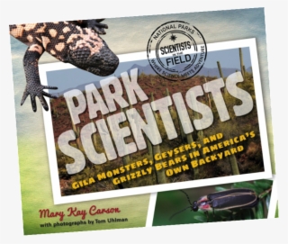 Park Scientists Gila Monsters
