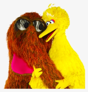Support After An Emergency - Oscar The Grouch And Big Bird