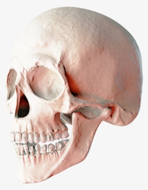 skull png transparent image - skull png