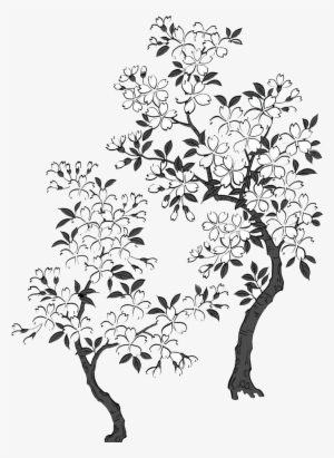 Bluejay Drawing Sakura Tree Clipart Transparent Download - Cherry Blossom