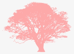 Pink Tree Love Clip Art - Olive Tree Black And White