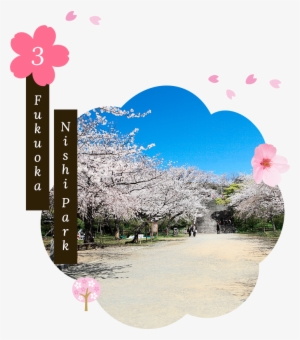 A Unique Feature Of Fukuoka Nishi Park Are The Pockets - Picture Frame