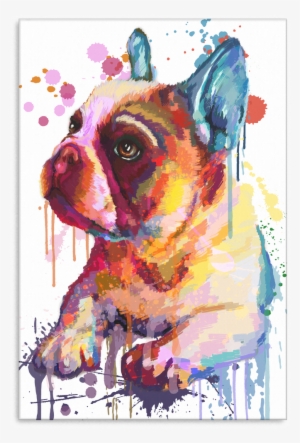 French Bulldog Canvas Wrap 2402hv - Gallery Wrap