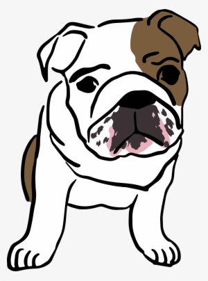 Drawing Bulldogs English Bulldog - Desenho De Bulldog Ingles