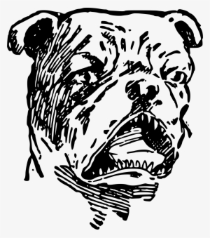 Dog Breed Bulldog Non-sporting Group Tiger Puppy - Angry Bull Dog