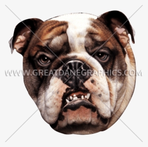 Fantasticdesignsshop Bulldog Tee Shirt, Dog Lover Tshirt,