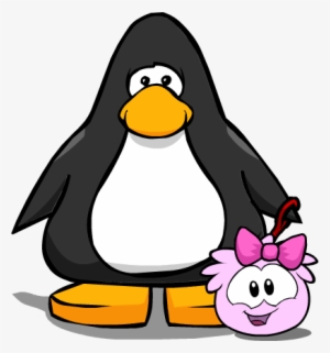 Pink Bow On Player Card - Club Penguin Walking Puffle