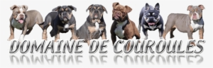 Domaine De Couroules Logo - Archive