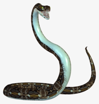 Free Png Animated Snake Png Images Transparent - Snake Png Transparent Background