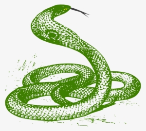 How To Set Use Green Snake Clipart