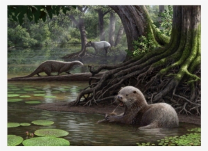 Giant Otter Fossil The Size Of A Wolf Discovered In