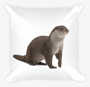 European-otter Print Square Pillow - Lutra