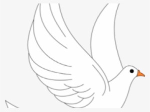 White Dove Cliparts - Illustration