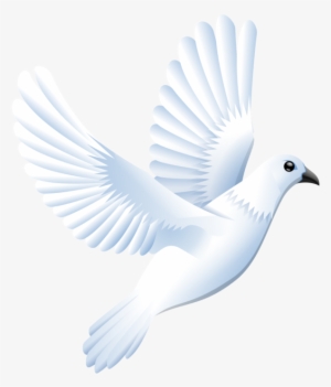 White Dove Clipart White Dove Svg Fvaday Clipart - White Bird Vector Png