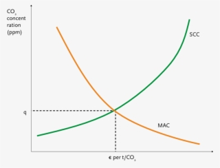 The Optimal Level Of Pollution