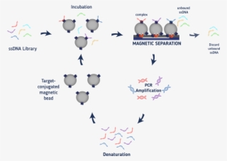 Selex Process