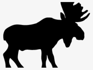 Moose Silhouette Png