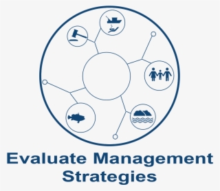 Management Strategy Evaluation
