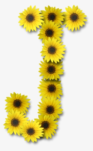 Alfabeto Sunflowers