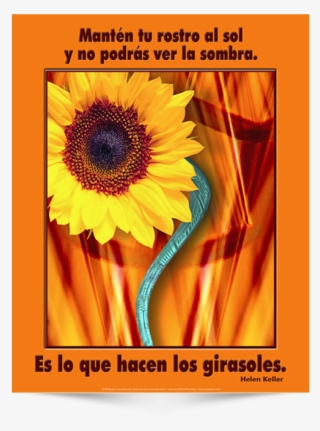 Keep Your Face To The Sunshine