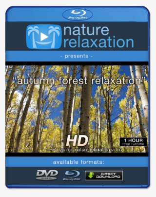 "autumn Forest Relaxation" Hd Relaxation Video 1 Hr
