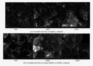 Corrosion Products On Steel-bar Surface In The Mgso4