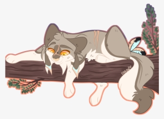 Boi Transparent Tribe
