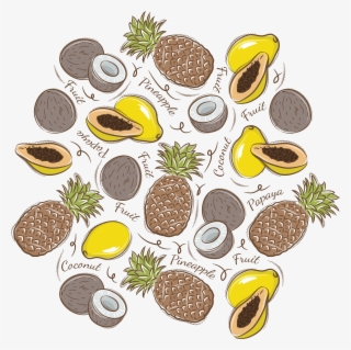 Paper Coconut Fruit Background Transprent Png Free