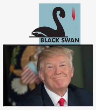 Trump Vs Mueller, The Black Swan