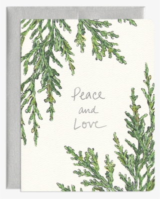 Juniper Peace Card