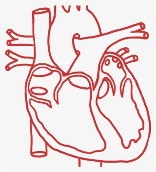 Structural Heart