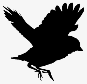 Flying Crow Template Passaro Silhueta Transparent Png 1280x1249 Free Download On Nicepng