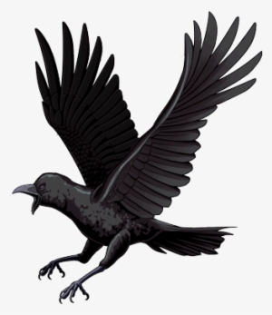 Game Of Thrones Crow Png - Crow Png