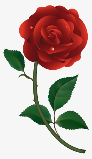 10 Roses Vector Png Files Images - Red Rose Vector Png