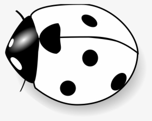 Ladybug On Flower Clipart - Clipart Of Lady Bug Black And White