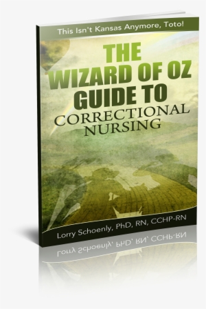 Quick Start For Correctional Nurses Vol - Wizard Of Oz Guide To Correctional Nursing By Lorry