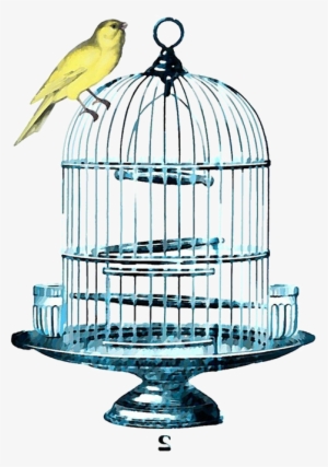 birdcage watercolor