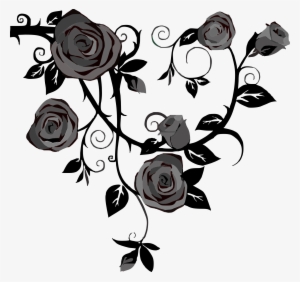Rose Vine Drawing Thorns