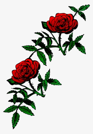 Rose Vine Png Download - Rose Art Public Domain