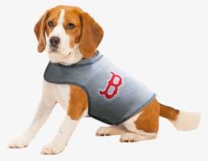 Boston Red Sox Dog Shirt - Thundershirt Dog