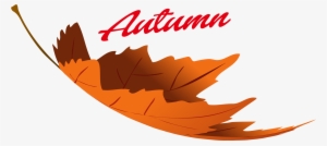 Autumn Leaves Png Image - Fall Leaves Transparent Png