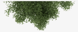 Affiliates - Tree And Grass Png