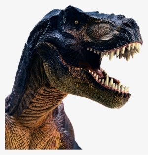Tina The Tyrannosaurus Rex Chatbot Wants To Teach Your - T Rex Head Shot
