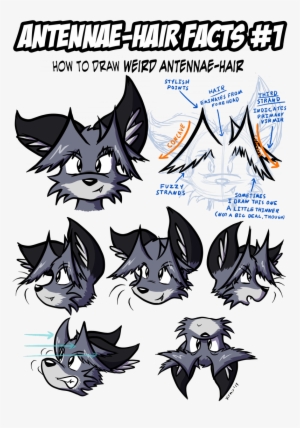 Antennae-hair Facts - Art