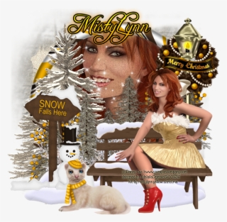 Scraps N Company Http