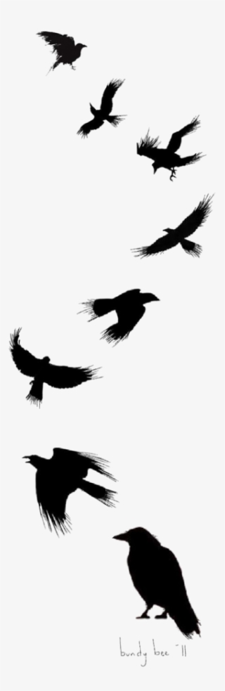 Tattoo Flight Crow Drawing Common Ink Bird