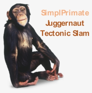 [3 - 2] Juggernaut - Tectonic Slam - 1 - 1 Mil Dps