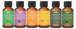 Amore Essential Oil Gift Set With Top 6 Blends