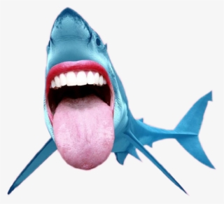 Shark Tiburon Sea Mouth Boca Tongue Lengua Fun Creative